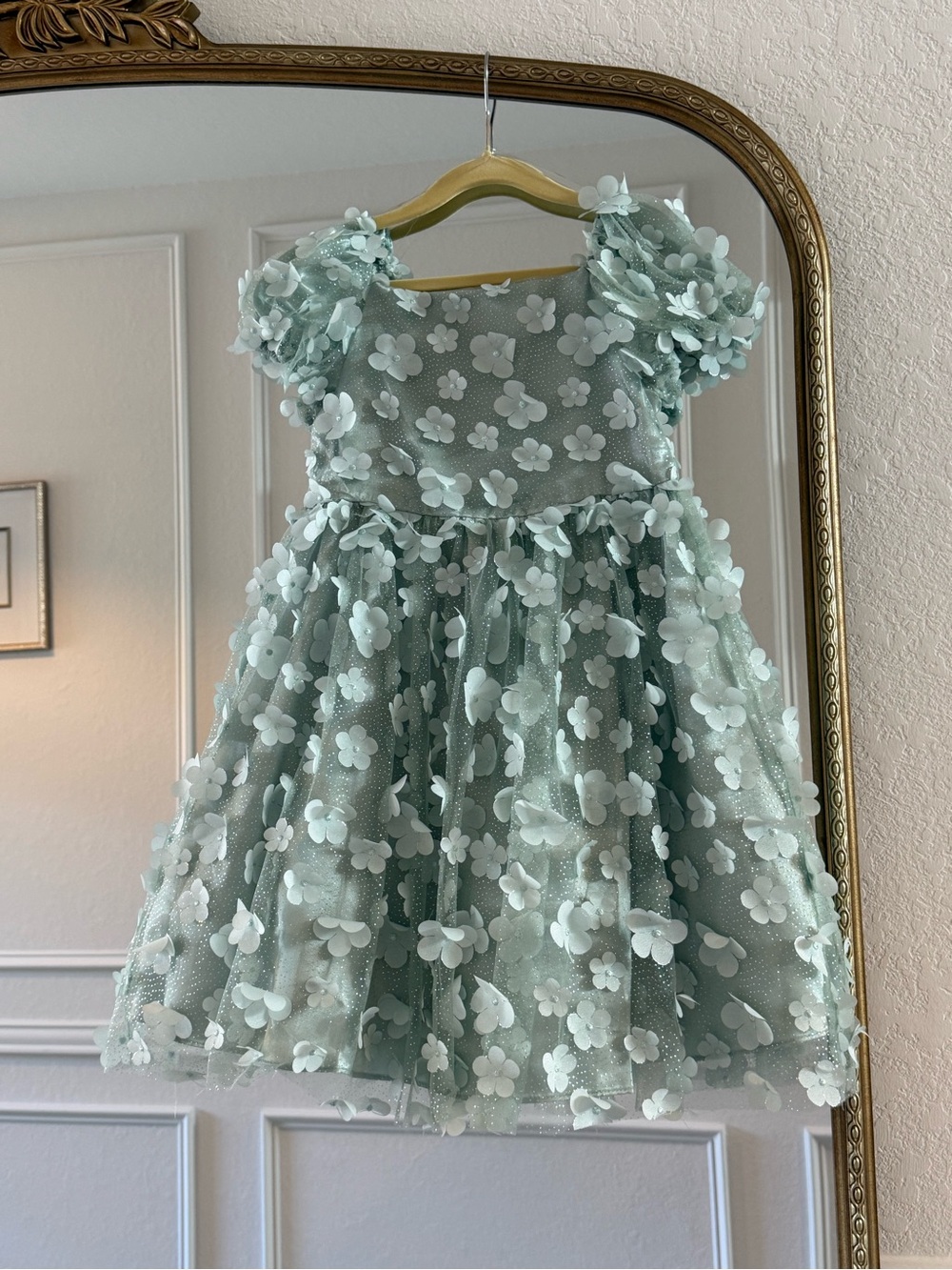 Like New Rare Editions Mint Green 3D Floral Tulle Party Dress size 6X girls